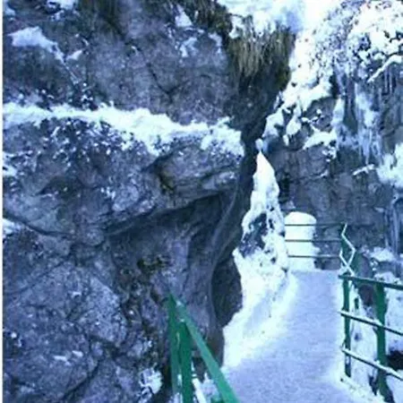 Falkenberg-wohnung-218 Apartamento *